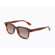 Invicta Berlin Eyewear X CL - Harp, Demi Brown Stripes + Free Luxury Premium Case(CL9629-02)