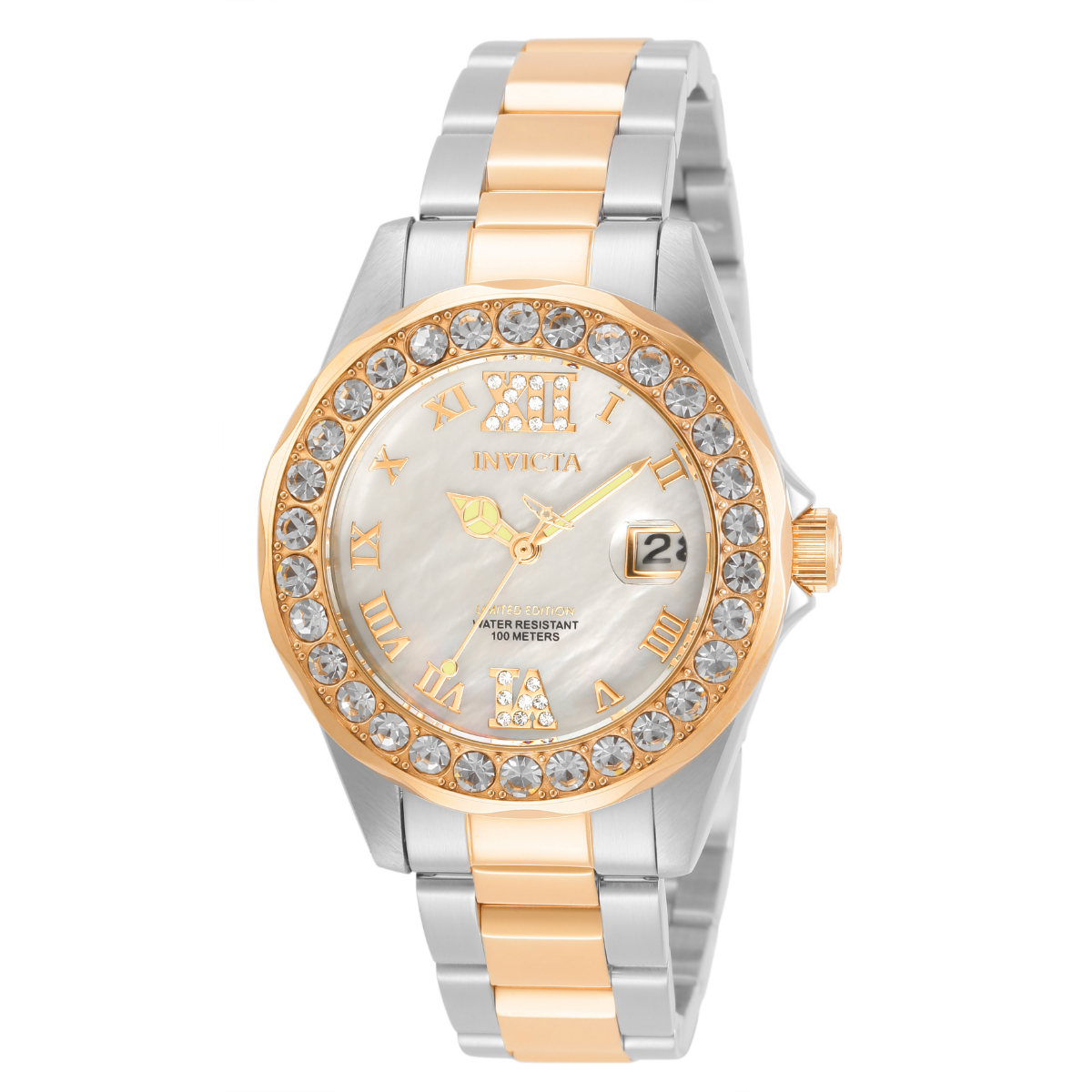 Stainless Steel Carnival Invicta Cruise 2021 Invicta Carnival