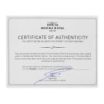 #1 LIMITED EDITION - Invicta Reserve Automatic Swiss ETA 7754 Caliber Men's Watch - 44mm, Black (49231-N1)